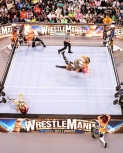 wrestlemania294_1_2315.jpg