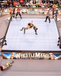 wrestlemania294_1_2316.jpg