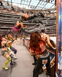 wrestlemania294_1_2317.jpg