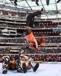 wrestlemania294_1_23222.jpg