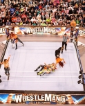wrestlemania294_1_2323.jpg