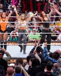 wrestlemania294_1_2324.jpg