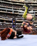wrestlemania294_1_237.jpg