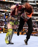 wrestlemania294_1_238.jpg
