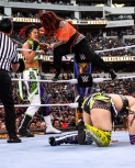 wrestlemania294_1_239.jpg