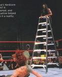 wrestlemania32collector2.jpg