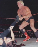 Filename=wrestler_insidespevol10067.jpg
Filesize=133KiB
Dimensions=499x509
Date added=Nov 22, 2023 wrestler_insidespevol10067.jpg