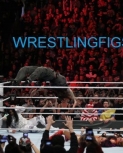 wrestlingfigsroyalrumble3.jpg