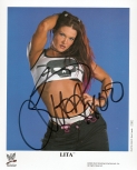 wwepromoauto1.jpg
