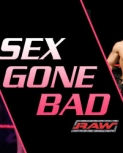 wwesplash28.jpg
