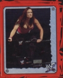 wwfsuperstarsmar0210.jpg