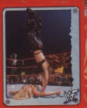 wwfsuperstarsmar0211.jpg