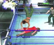 wrestlemania19guide11.jpg