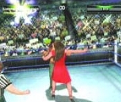 wrestlemania19guide14.jpg