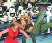 wrestlemania19guide5.jpg