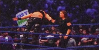 wwe13guide10.jpg