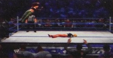 wwe13guide13.jpg