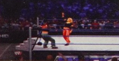 wwe13guide16.jpg