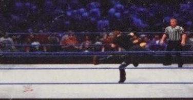 wwe13guide20.jpg