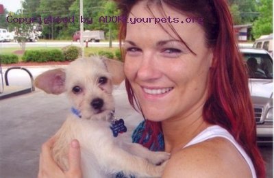 adoreyourpets3.jpg
