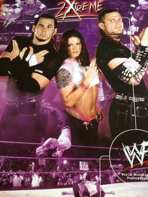 "WWF Team Xtreme" Folder
