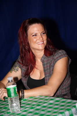 wrestlingmegafest11.jpg