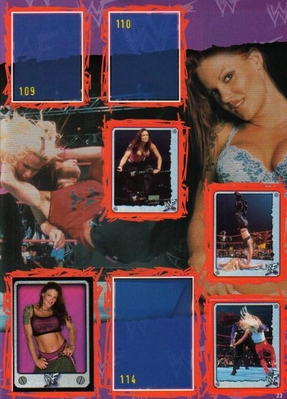 wwfsuperstarsmar025.jpg
