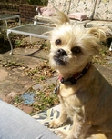 Filename=259934807.jpg
Filesize=1467KiB
Dimensions=1936x2592
Date added=Mar 18, 2011 259934807.jpg