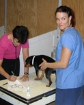 adoreyourpets4.jpg