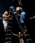 bestofsummerslam1.jpg
