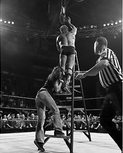 climbingtothetop3.jpg