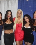 former-divas-chicago-wizard-world.jpg