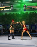 Filename=ignwrestlemania2114.jpg
Filesize=61KiB
Dimensions=640x480
Date added=Jul 01, 2009 ignwrestlemania2114.jpg