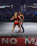 Filename=ignwrestlemania2116.jpg
Filesize=56KiB
Dimensions=640x480
Date added=Jul 01, 2009 ignwrestlemania2116.jpg