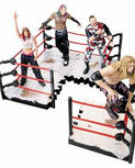 jakks2.jpg