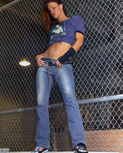 solecollectormag3.jpg