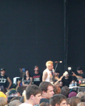 summerfest2.jpg