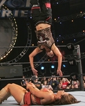 Filename=survivorseries11_26_063.jpg
Filesize=51KiB
Dimensions=456x352
Date added=Mar 14, 2010 survivorseries11_26_063.jpg