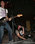 texasanarchyredeyedfly105.jpg