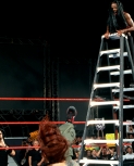 wildestdivasmatches1.jpg