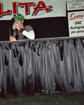 worldofwheels15.jpg