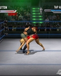 wwe-wrestlemania-21-20050307024341839.jpg