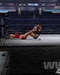 wwe-wrestlemania-21-20050307024344073.jpg