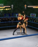 wwe-wrestlemania-21-20050307024348276.jpg