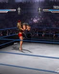 wwe-wrestlemania-21-20050307024351401.jpg