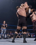 wwelitaprofile4.jpg