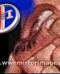 wwfmirrorimagescom02.jpg