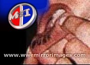 wwfmirrorimages5.jpg